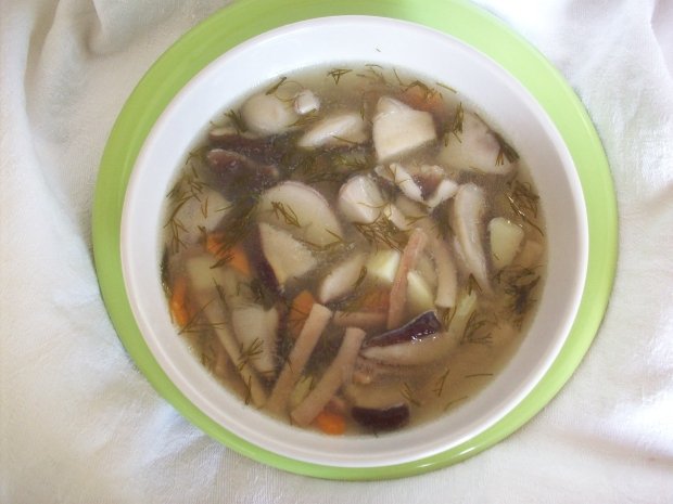 суп из свежих белых грибов